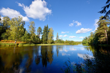 river and forest scene in Fall