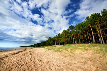 Fototapeta na wymiar Baltic sea shore in Latvia
