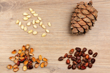 Pine cones, nuts and shells