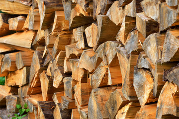 freshly made firewood in the forest