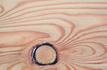 Fototapeta na wymiar abstract of wood texture