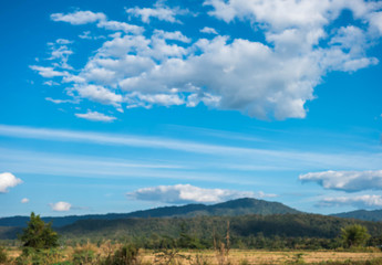 Fototapeta na wymiar field against a blue sky blur