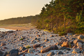 Baltic sea shore, Hiumaa island, Estonia