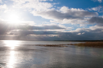 Obraz premium Landscape of lake and reeds