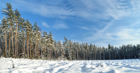 Snow covered sunny winter landscape panorama - 100121404