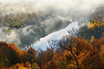 Colorful forest hills covered with mist in Autumn. Sigulda, Latvia. - 100121424