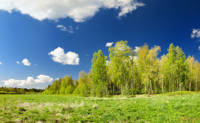classical meadow and forest spring landscape - 100121854
