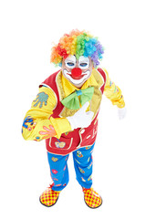 Portrait of a clown isolated on white background