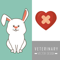 Veterinary clinic healthcare 