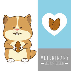 Veterinary clinic healthcare 