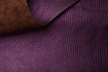 violet tanned leather texture, decorated with fur
