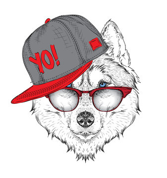 The poster with husky portrait in hip-hop hat. Vector illustration.