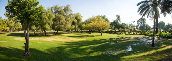 Panorama of summer park sunny