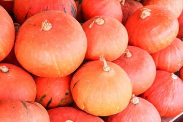 Pumkin in the market