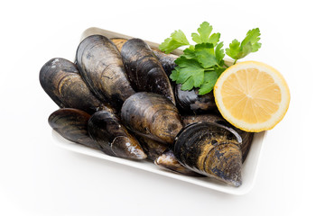 Cozze fresche
