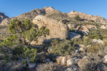 Fototapeta na wymiar Red Rock Canyon