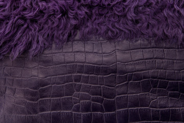 violet tanned leather texture, decorated with fur
