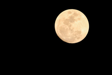 Full moon in the night