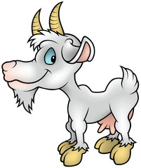 White Goat - Colored Cartoon Illustration, Vector