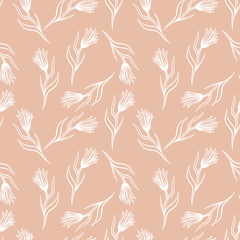 Cornflower vector seamless pattern. Hand drawn doodle ink floral textile fabric print. Field knapweed flowers on beige background.
