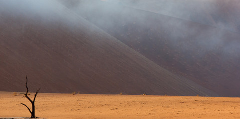 Misty Dunes