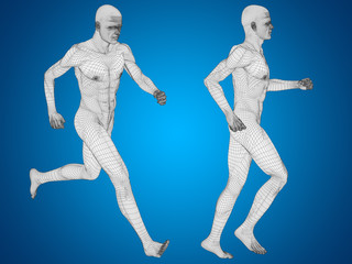 Fototapeta na wymiar Conceptual man or human 3D wireframe anatomy or body on blue