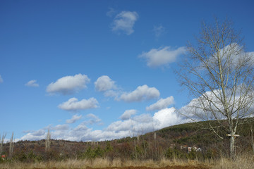 Obraz premium Landscape