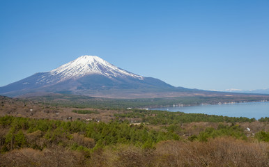 Obraz premium Mountain Fuji and lake yamanakako in spring season