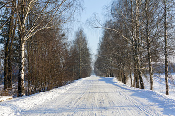 the winter road  