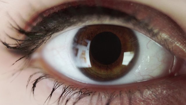 eyeball computer display reflection