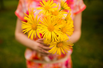 Beautiful yellow flowers in hands of girl