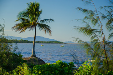 Küste bei Cardwell, Australien