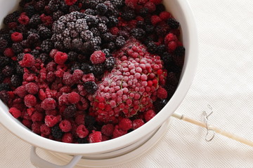 drei Frucht - Brombeere, Himbeere, Johannisbeere