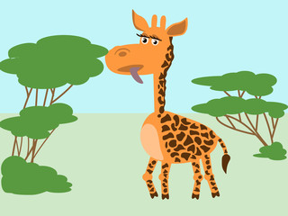 Fototapeta premium Giraffe with tongue