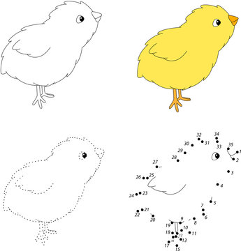 Cartoon chick. Vector illustration. Dot to dot game for kids