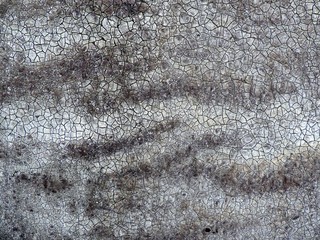 Weathered old dark grey ruberoid texture