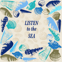 Sea shells background for summer design.