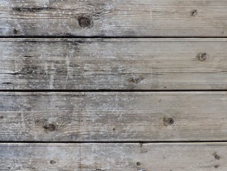 Obraz premium Perfect natural gray wood texture