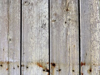 Perfect natural gray wood texture