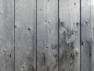 Fototapeta premium Perfect natural gray wood texture