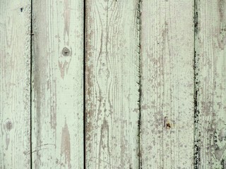 Obraz premium Perfect natural wood texture 