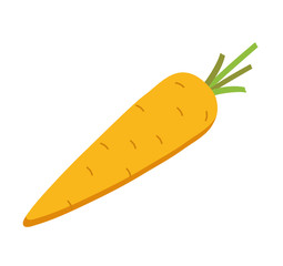 Cute carrot flat style vecto