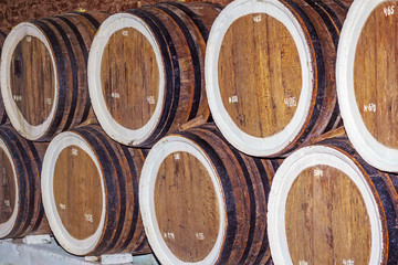 The wine cellar