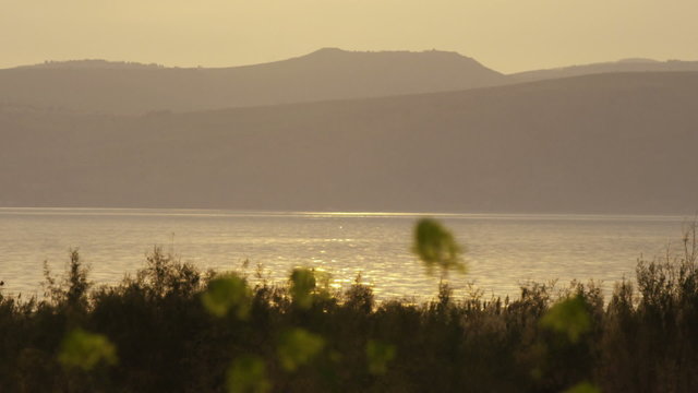 Stock Video Footage of yellow flowers and the Sea of Galilee at dusk shot in Israel at 4k with Red.