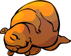 Marmot. Vector illustration