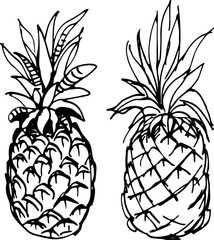 Pineapple. Vector illustration.