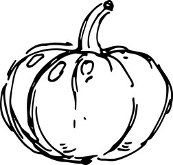 Pumpkin.  Vector illustration