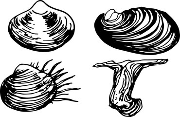 Vector illustration