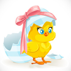 Cute little yellow cartoon chicken just hatched from an Easter e