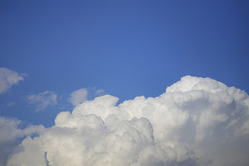 Blue skies in the winter